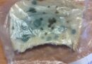 Year 6 Science Experiment – Mouldy Bread!