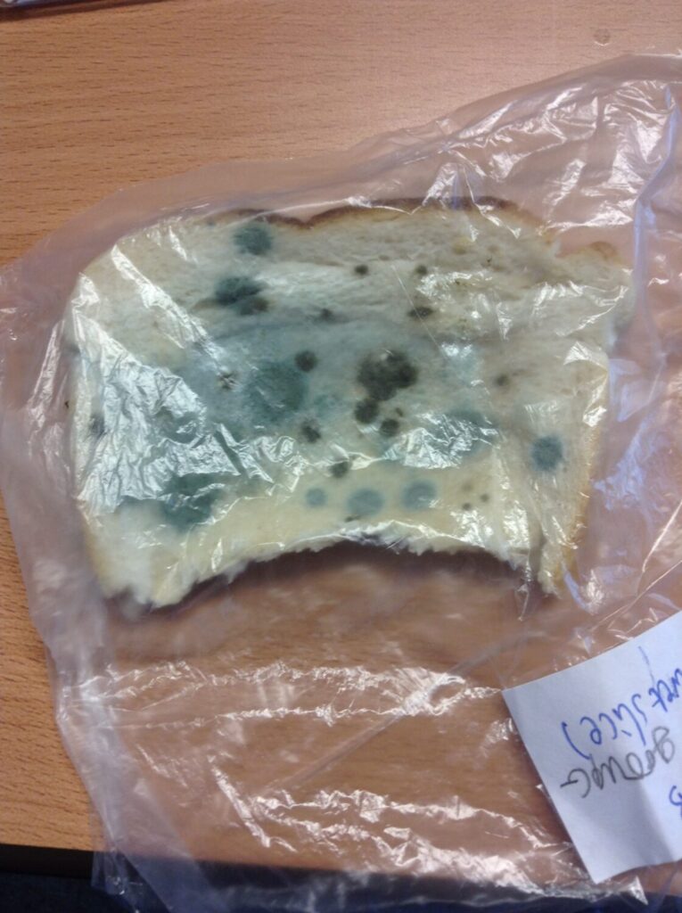 Mouldy Bread